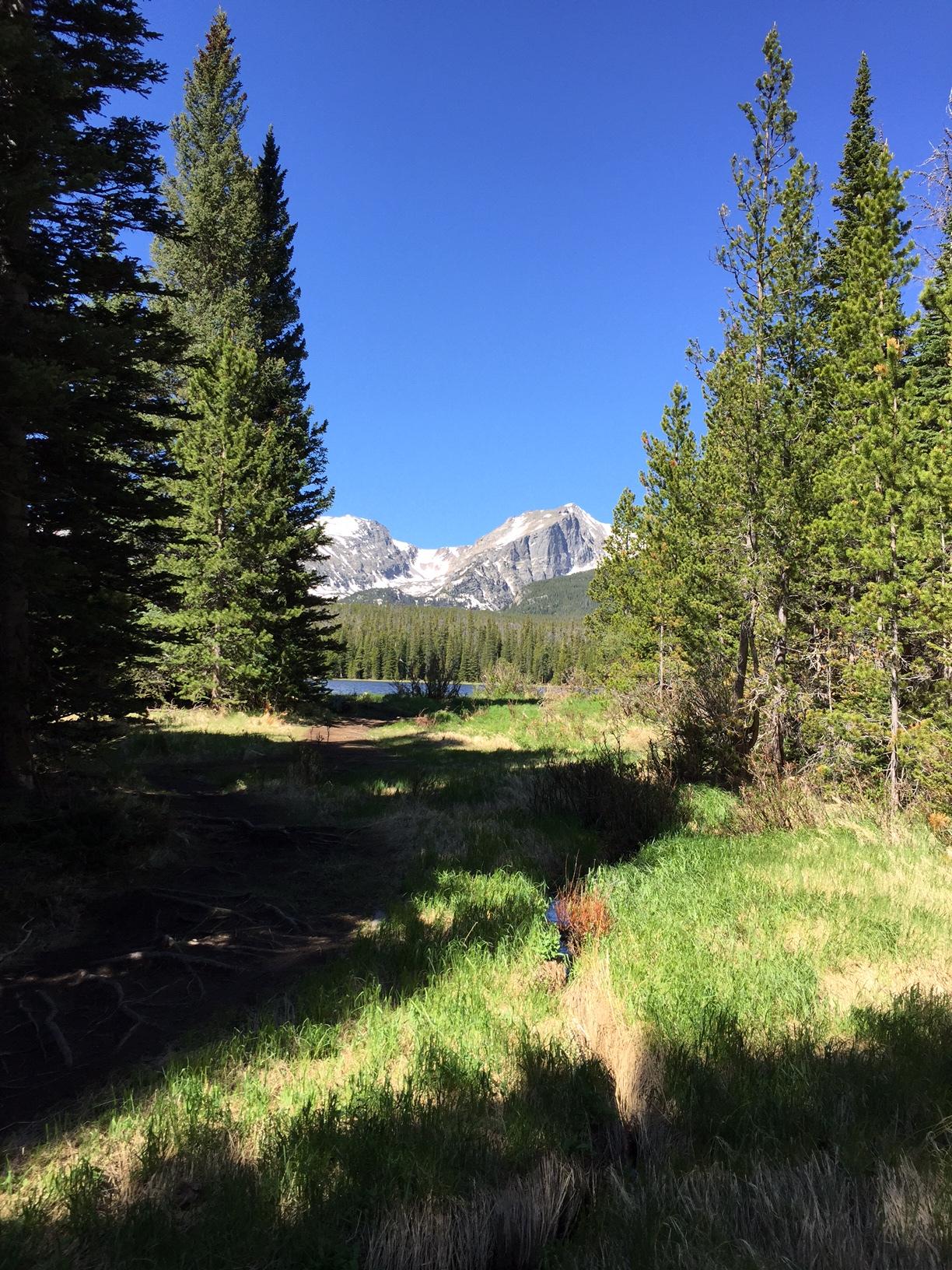 mountain trail dawn